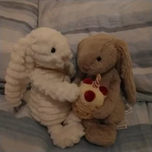 Bashful Beige Bunny 'Birthday' Jellycat photo