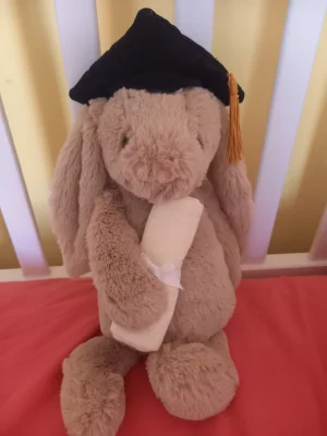 A photo of Bashful Beige Bunny 'Birthday' Jellycat taken by LTlovesjellycat
