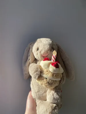 Bashful Beige Bunny 'Birthday' Jellycat photo