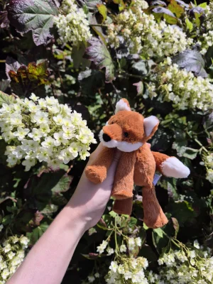 Smudge Fox - Tiny Jellycat photo