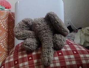 Smudge Elephant - Tiny Jellycat photo