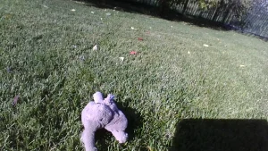 Lifestyle photo of Smudge Elephant - Tiny uploaded by Jellycat_Jack_