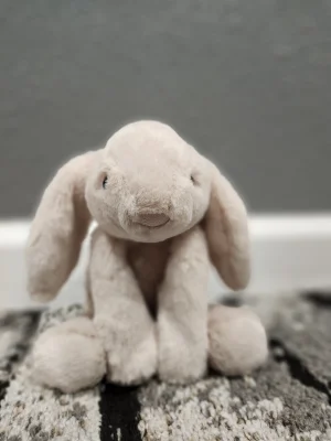 Smudge Rabbit Small Jellycat | Jelly Journal