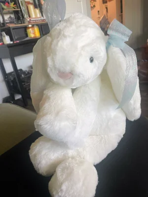 A photo of Smudge Rabbit Tiny - White Jellycat taken by JellytimeLaMay