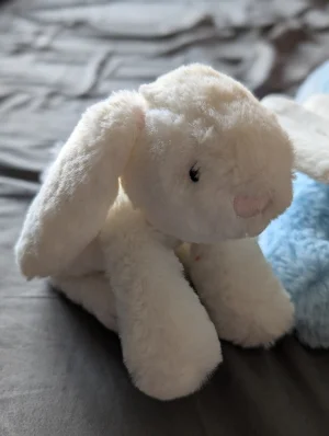 A photo of Smudge Rabbit Tiny - White Jellycat taken by Jelly_shebear