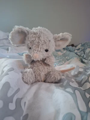 Yummy Mouse Jellycat | Jelly Journal