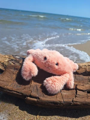 A photo of Fluffy Crab Jellycat taken by BuckyJelly