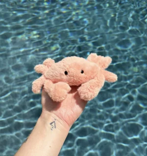 Fluffy Crab Jellycat photo
