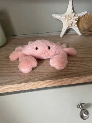 A photo of Fluffy Crab Jellycat taken by Evieeeeeeeea