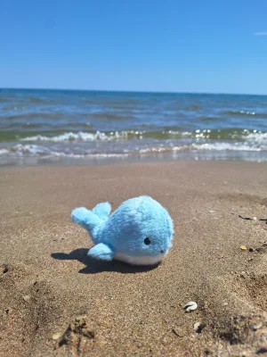 Fluffy Whale Jellycat photo