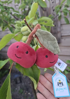 おもちゃ 新品 ジェリーキャット さくらんぼ チェリー キーホルダー