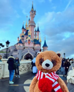A photo of Bashful Red Panda Jellycat taken by PixieAztechia
