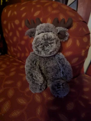 Bashful Marty Moose Jellycat | Jelly Journal