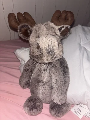 A photo of Bashful Marty Moose - Medium Jellycat taken by arialovesjelly