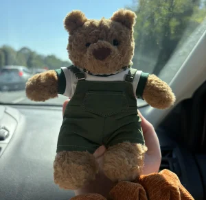 Bartholomew Bear - Tiny Jellycat photo uploaded by kaleighsjellies