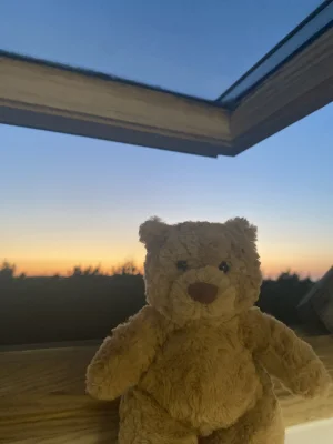 Bartholomew Bear - Tiny Jellycat photo