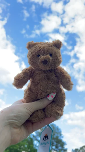 Bartholomew Bear - Tiny Jellycat photo uploaded by mayasjellycats133