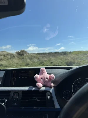 Fluffy Starfish Jellycat photo