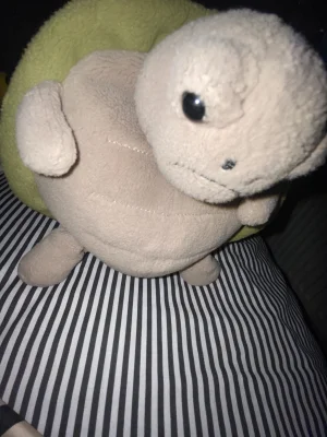 Timmy Turtle Jellycat photo