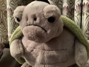 Timmy Turtle Jellycat photo