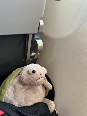 Timmy Turtle Jellycat photo
