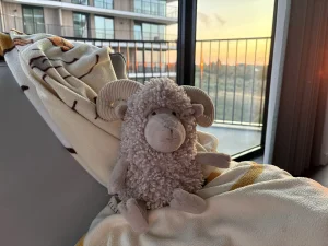 Ramsley Sheep Jellycat photo
