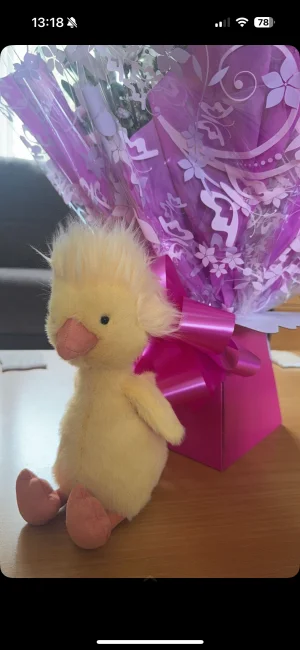 【ジェリーキャット】Dorit Duckling jellycat Dorit Duckling 30.00