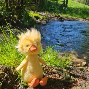 Dorit Duckling Jellycat photo