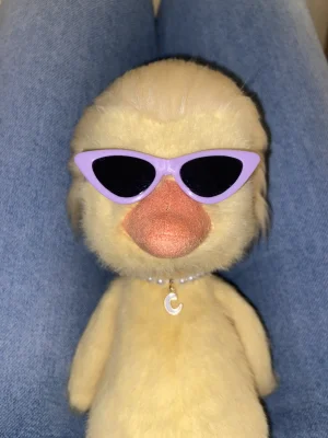 Front photo of Dorit Duckling uploaded by CatPtk