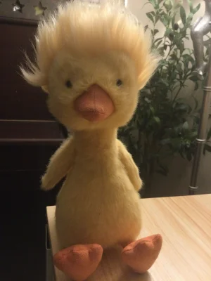Dorit Duckling Jellycat | Jelly Journal