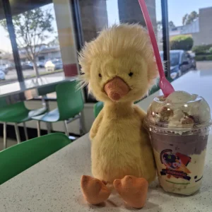Dorit Duckling Jellycat | Jelly Journal