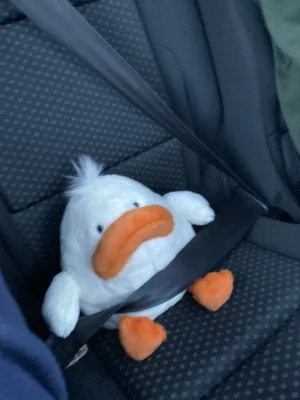Delia Duck Jellycat photo