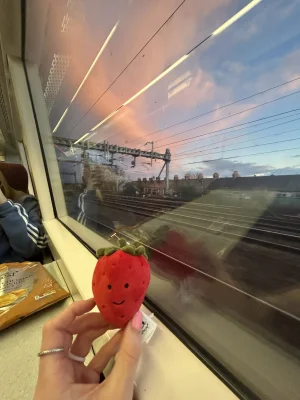 Fabulous Fruit Strawberry Jellycat photo