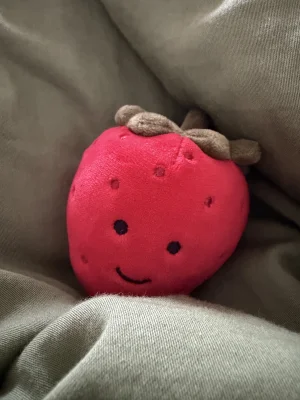 A photo of Fabulous Fruit Strawberry Jellycat taken by Ann_chrystyn