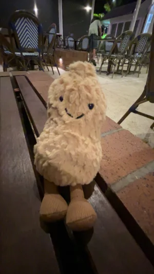Amuseables Peanut Jellycat photo