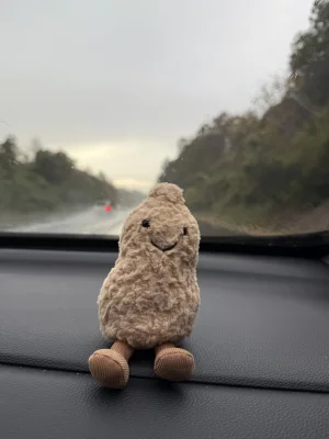 Amuseables Peanut Jellycat photo uploaded by catycake