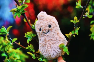 Amuseables Peanut Jellycat photo uploaded by Vivi68
