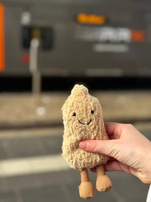 Photo by Swiftiejellycat