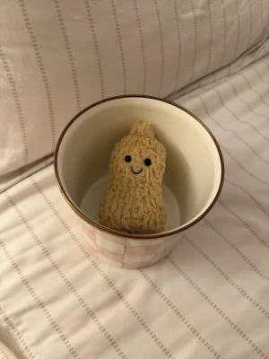Amuseables Peanut Jellycat photo