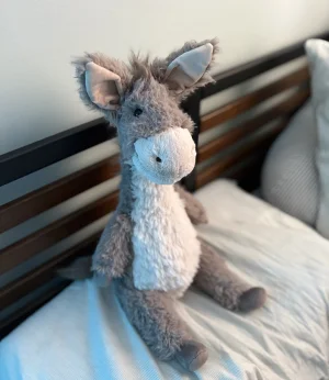 Dario Donkey Jellycat photo uploaded by kaleighsjellies