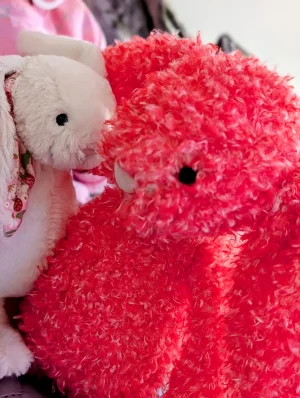 Bashful Holly Bunny Jellycat | Jelly Journal