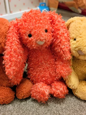 Bashful Holly Bunny Jellycat | Jelly Journal