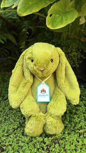 Bashful Moss Bunny - Medium Jellycat | Jelly Journal