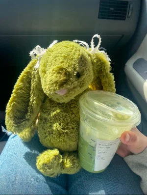 Bashful Moss Bunny - Medium Jellycat | Jelly Journal