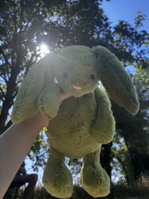 Bashful Moss Bunny - Medium Jellycat | Jelly Journal