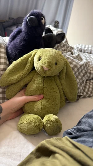 Bashful Moss Bunny - Medium Jellycat | Jelly Journal