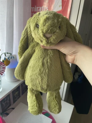 Bashful Moss Bunny - Medium Jellycat | Jelly Journal