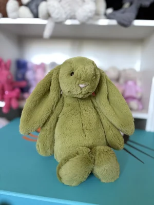 Bashful Moss Bunny - Medium Jellycat photo