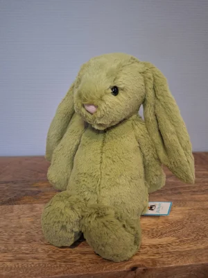 Bashful Moss Bunny - Medium Jellycat | Jelly Journal