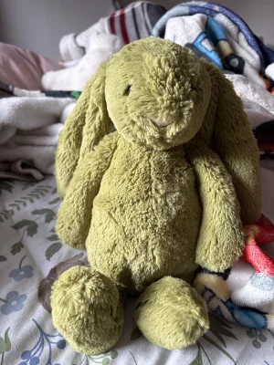 Bashful Moss Bunny - Medium Jellycat photo